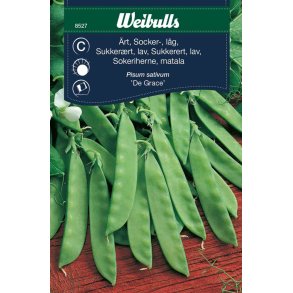 �RT SUKKER�RT FR�