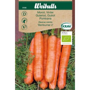 GULEROD VINTER FR�