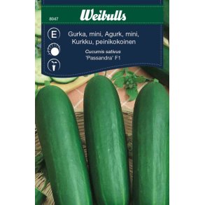 AGURK ALMINDELIG FR�