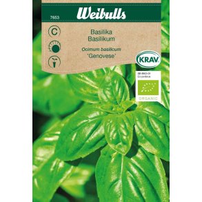 BASILIKUM FR�