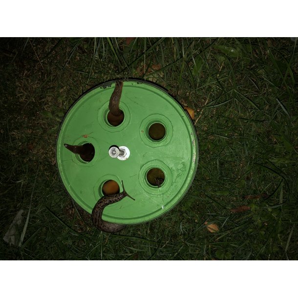 Snegleflden Monster